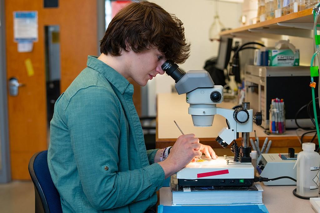 一个学生凝视着显微镜