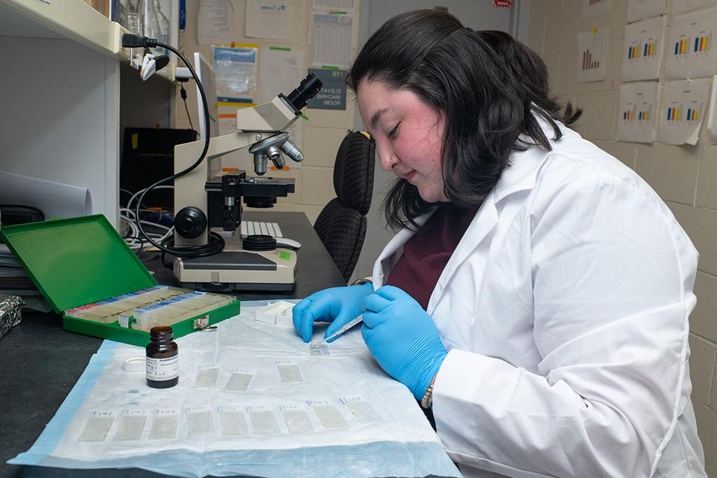 一位身穿白大褂的学生正在准备一排显微镜载玻片